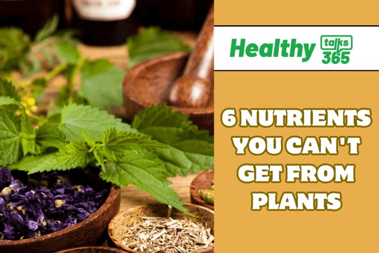 6 NUTRIENTS YOU CAN'T GET FROM PLANTS