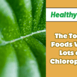 The Top 9 Foods With Lots of Chlorophyll