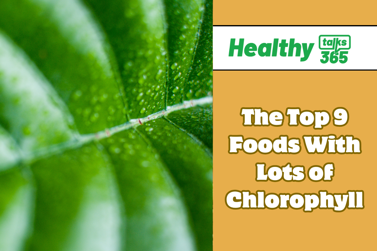 The Top 9 Foods With Lots Of Chlorophyll - Healthy Talks 365