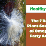 The 7 Best Plant Sources of Omega-3 Fatty Acids