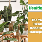 The Top 7 Health Benefits of Houseplants