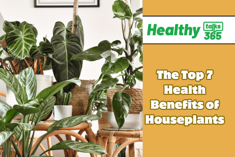 The Top 7 Health Benefits of Houseplants