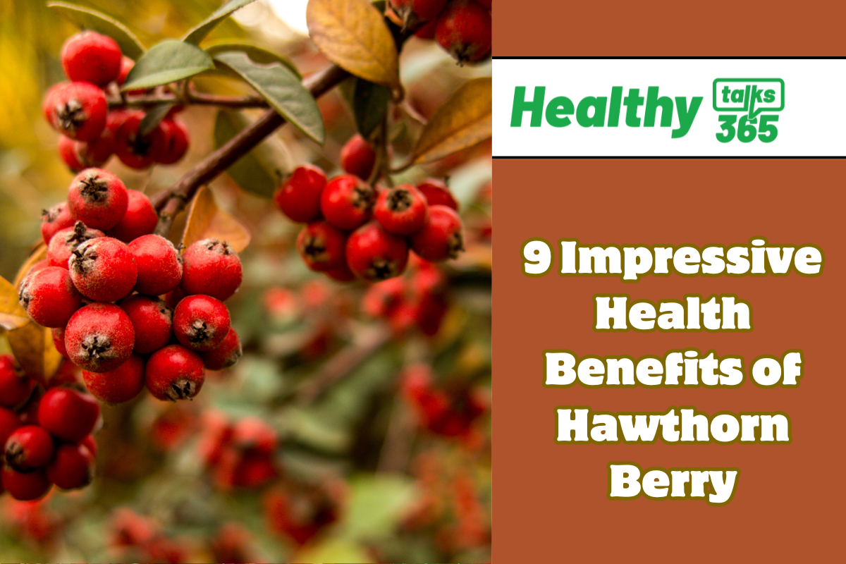 9 Impressive Health Benefits of Hawthorn Berry